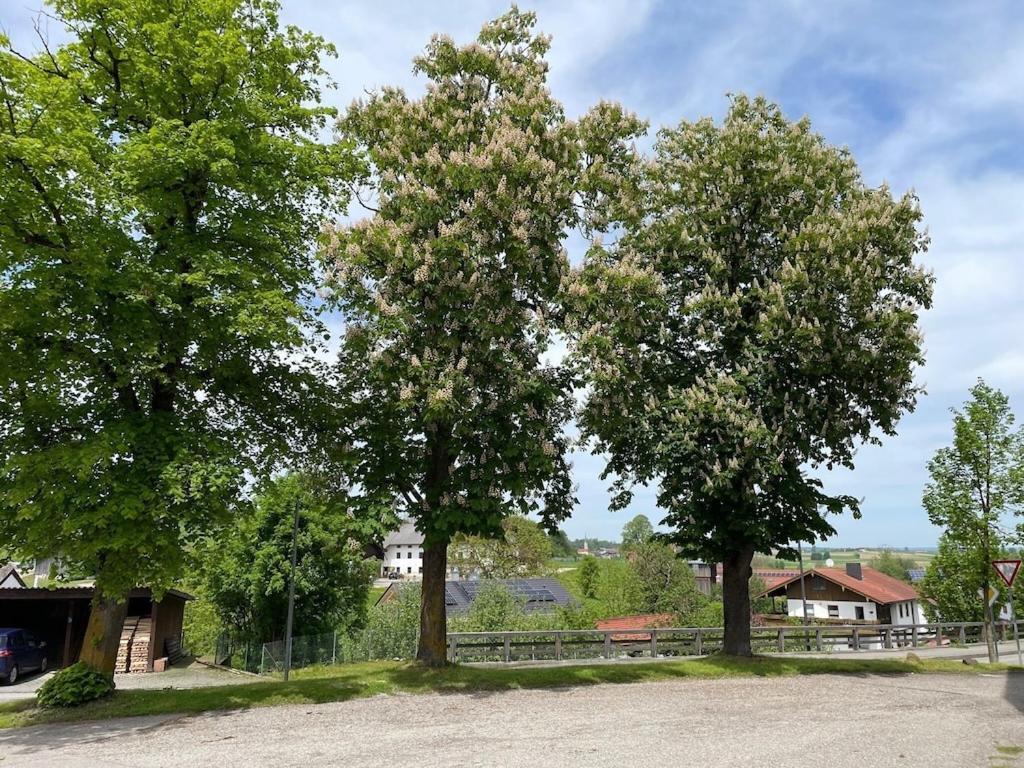 Ferienwohnung Meridiana Tuntenhausen Eksteriør bilde